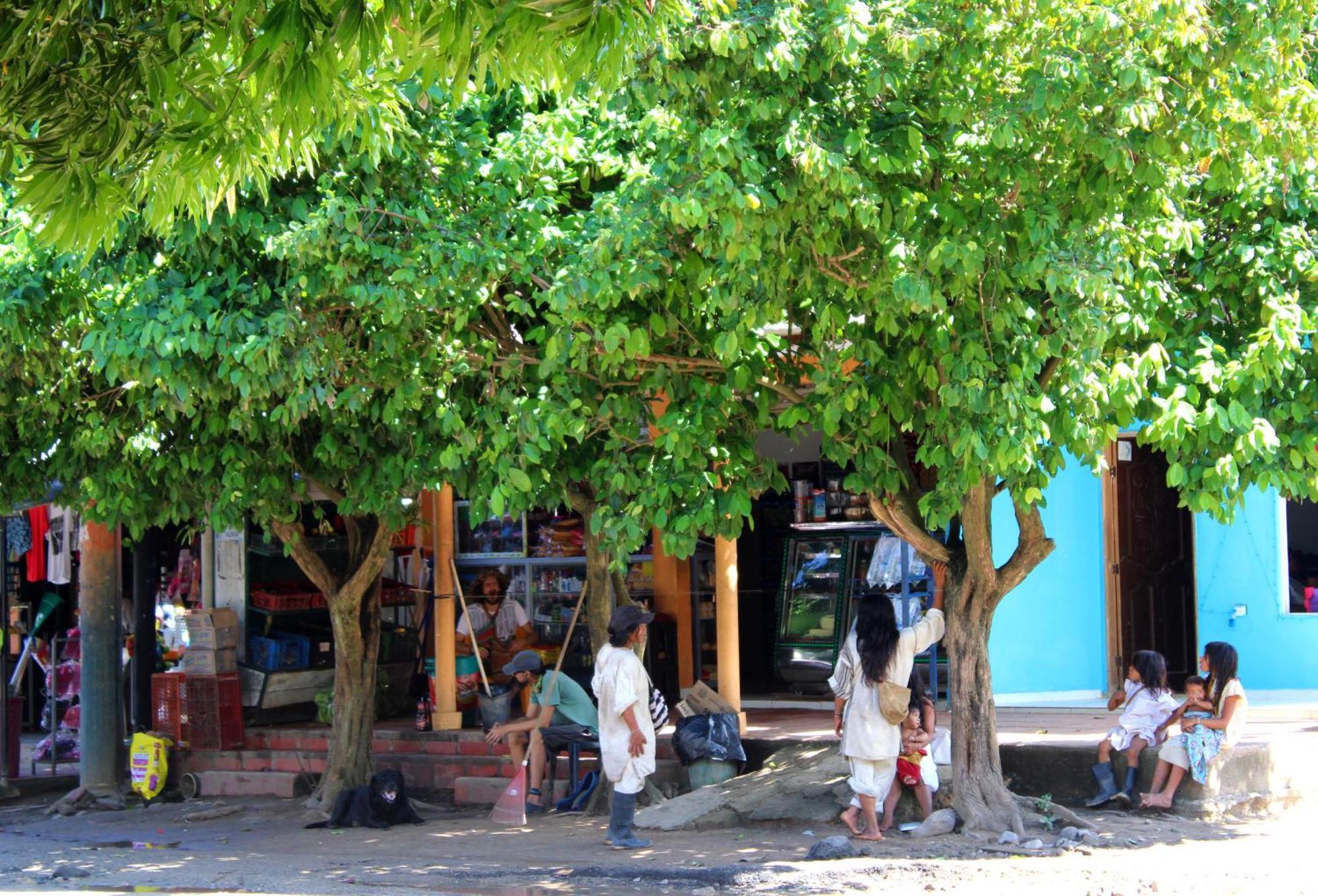 Bella Flor Hostel Palomino Eksteriør bilde