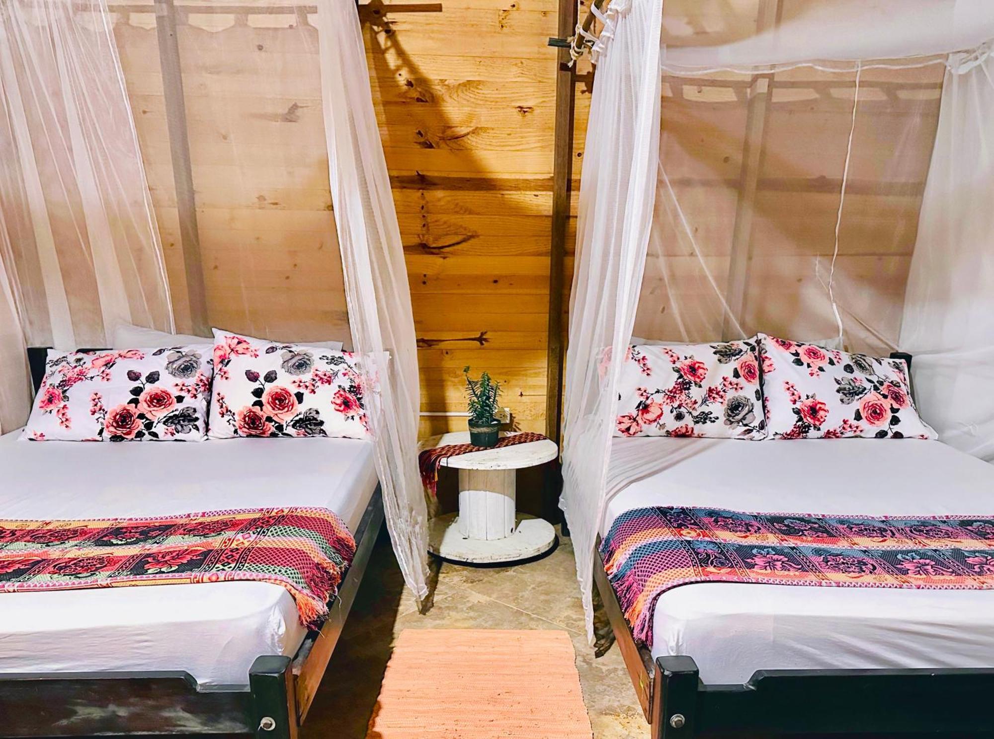 Bella Flor Hostel Palomino Eksteriør bilde